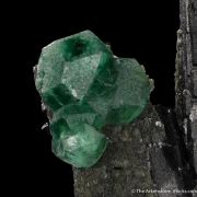 Fluorite on Schorl