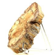 Petrified wood. 6750.0 ct. (1.35 kg)