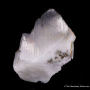 Whewellite with Löllingite inclusions and Weddelite(?)