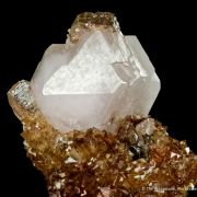 Tarnowitzite on Smithsonite, with Cerussite