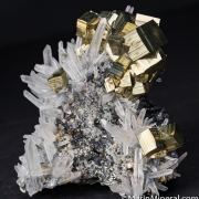 Pyrite, quartz on Sphalerite