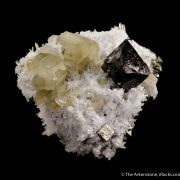 Scheelite, Fluorapatite and Quartz on Pyrite