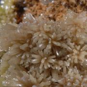 Pyromorphite -unusual color for locale