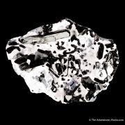 Neptunite on Natrolite