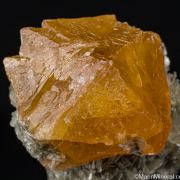 Scheelite with Muscovite
