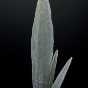Quartz - Prase type, with Hedenbergite inclusions