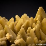 Smithsonite replacing Calcite