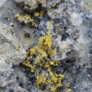 Gold with Quartz and Sphalerite