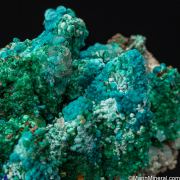 Cuprian Adamite, Rosasite, Smithsonite, Malachite on Calcite casts