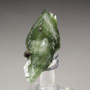 LUDLAMITE bow tie