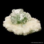 Fluorapophyllite on Stilbite