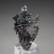 TENORITE