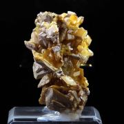 Wulfenite.