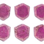 Tourmaline Var. Liddicoatite