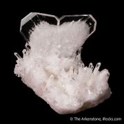 Quartz (Japan Law Twin) with Quartz