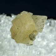 Wardite