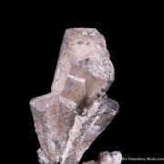 Silver ps. Dyscrasite