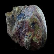 Fossil Lytoceras cornucopiae. 12772.0 ct. (21 cm)