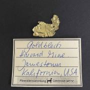 Gold leaf - Jamestown, CA. USA