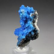 EVANSITE
