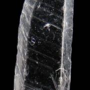 Nifontovite