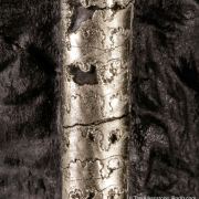 Pyrite on Pyrite ps. Baculites yokayamai