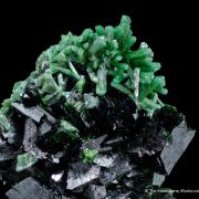 Cuprian Adamite on Zincolivenite
