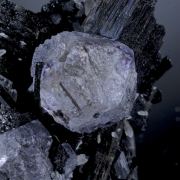 Fluoritre on Schorl and Quartz with Goshenite (Beryl)