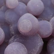 Quartz / (var. - Chalcedony) / (var. - Agate) / (Grape Chalcedony / Grape Agate) with Celadonite