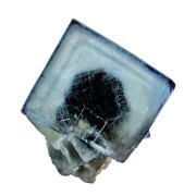 Fluorite OKORUSU TN
