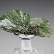 LUDLAMITE bow tie