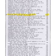 Covellite (circa 1800s)