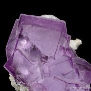 Fluorite with Calcite