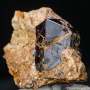 Rutile
