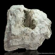 Millerite