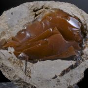 Carnelian - red Quartz nodule