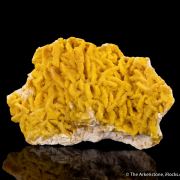 Cadmian Smithsonite ps. Dolomite