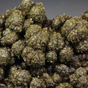 DESCLOIZITE