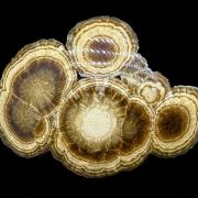 Baryte, marcasite