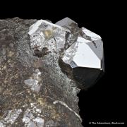 Sperrylite with Chalcopyrite