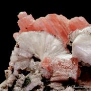 Leifite and Serandite