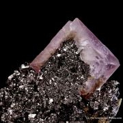 Pink Fluorite on Arsenopyrite