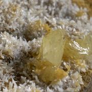 Paradamite on Smithsonite