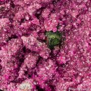 Kolwezite after Cuprite on Cobaltian Calcite