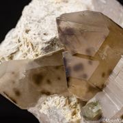 Uranomicrolite halos in Quartz with Tourmaline