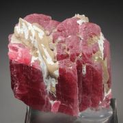 gemmy RHODONITE