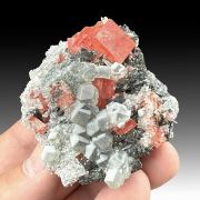 Rhodochrosite with Fluorite, Tetrahedrite, Quartz