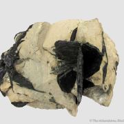 Covellite (Illustrated!)