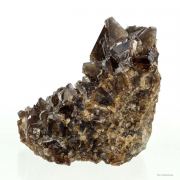 Colemanite