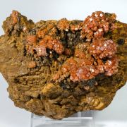 Vanadinite on Siderite
